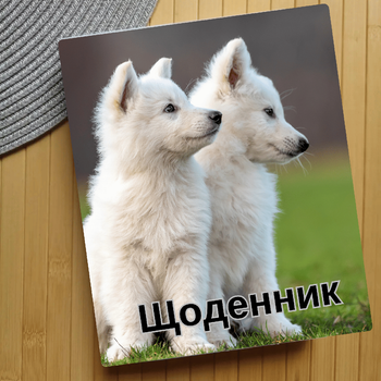 Дневник Собаки (28284)