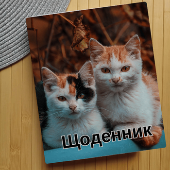 Дневник Коты (28269)