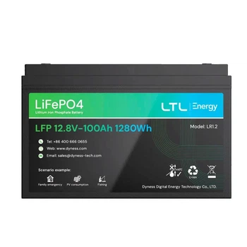 Аккумуляторная батарея Dyness LiFePO4 LR1.2, 12.8V/100Аh (1,28kWh)