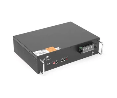 Аккумуляторная батарея Ritar 19" LiFePO4 25,6V 100Ah с Bluetooth 2560Wh BMS100@8S для монтажа на стену
