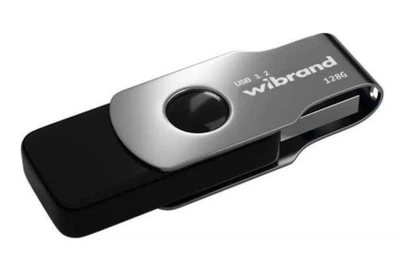 Флеш пам'ять USB Wibrand Lizard 128GB USB 3.2 Gen1 Black (WI3.2/LI128P9B)