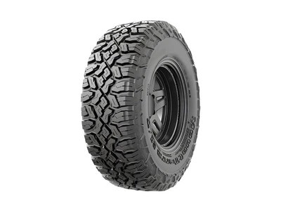 Всесезонна шина Hansinway Terra M/T 31/10.50 R15 109Q