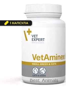 Харчова добавка (вітаміни) для імунітету котів і собак малих порід VetExpert VetAminex Small Breed, 1 капсула (5902414215245)