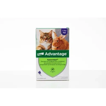 Адвантейдж 80 (Advantage) Elanco — краплі від бліх для котів і кролів 4–8 кг, 4 піпетки