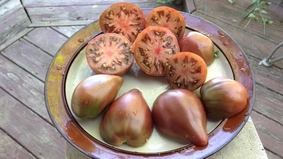 Насіння помідора Карлик Фіолетове серце (Dwarf Purple Heart) 50 насінин