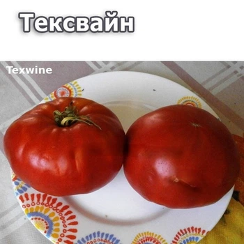 Семена крупноплодного салатного томата Тексвайн (Texwine) 30 семян