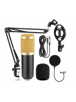 Микрофон инструментальный HL Audio BM-800
