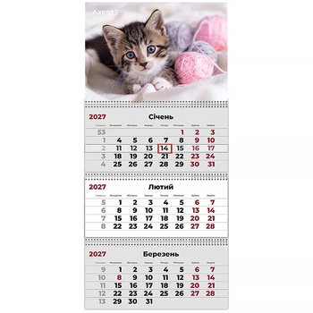 Календарь настенный квартальный 2027г. 3 пружины Cats 1, Axent 8803-27-7-A