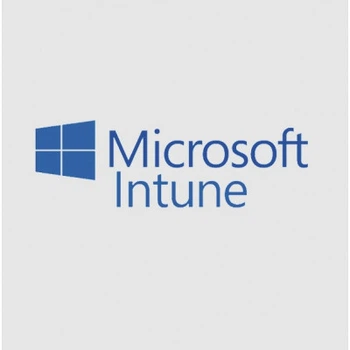 Офісний додаток Microsoft Intune Storage Add-on P1Y Annual License