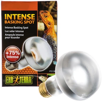 Дзеркальна лампа спрямованого обігріву для рептилій Exo Terra Intense Basking Spot S20, 75 Вт