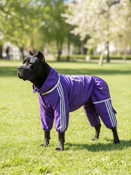 Дощовик для великих порід собак 13XL 81-85cm Корсо Мастіф Дог Dog's Happiness Фіолетовий Дівчинка 0152-01/43