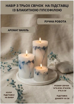 Свечи ароматические парафиновые набор свечей ароматичних арома свеча ручной работы декоративные ароматизированные свечи 3 шт на подставке с веточками голубой гипсофилы аромат ваниль