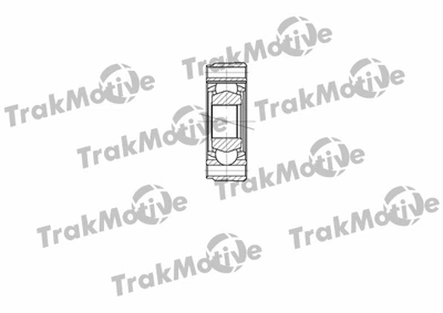 ШРУС в сборе, комплект Seat Ibiza/Inca, TRAKMOTIVE (450098)