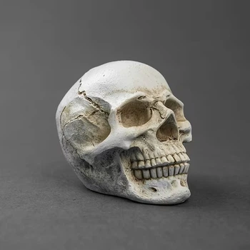 Статуэтка череп «Gothic Skull» полистоун белая