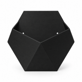 Настінне пластикове кашпо Hexagon для сукулентів і міні-рослин, 204×180×60 мм