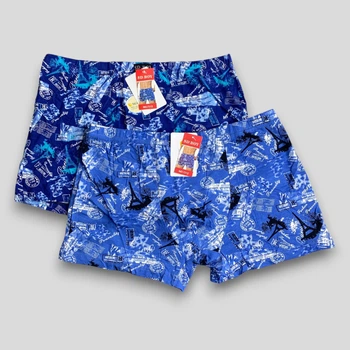 Яркие мужские боксеры SD.Boy 3XL Синие + Голубые (7312-1), 2 шт