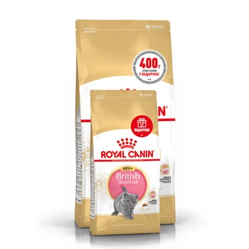 Royal Canin Kitten British Shorthair (Роял Канин Бритиш Шортхеа) сухой корм для котят британской кошки, 2кг+400гр