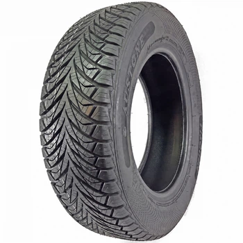 Fortune FITCLIME FSR-401 175/70 R13 82T
