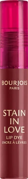 Tint do ust Bourjois Stain in Love 6 Black Cherry 3.5 ml (3616307106412)