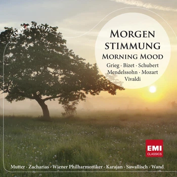 Various Artist - Morning Mood (Збірка класики для ранку) 1Cd