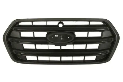 Решітка тюнінгова BLIC 6502072517990PP Ford Transit 2368572