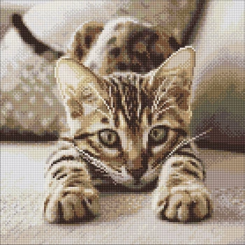 Алмазная мозаика "Игривый котенок" AMO20280, 40х40 см