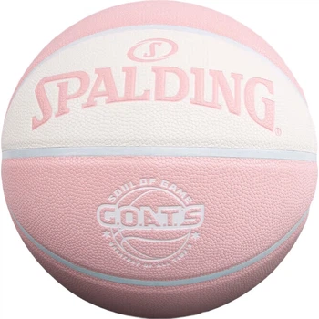 Мяч баскетбольный SPALDING Daily Training 77-787Y полиуретан Size 7