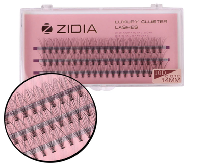 ZIDIA Cluster lashes Вії пучкові 10D C 0,10х14 mm, 3 стрічки