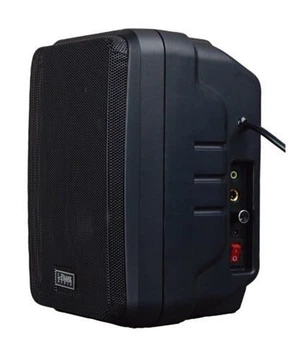 Настенный громкоговоритель L-Frank Audio HYB1094A 10Вт, Black