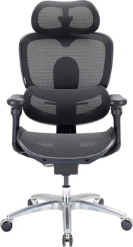 Крісло офісне Sihoo DORO C300 LITE V2 Black (C300-LITE-V2-B101)
