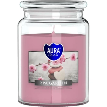 Свеча ароматичная Aura (Bispol) Спа Сад (27262)