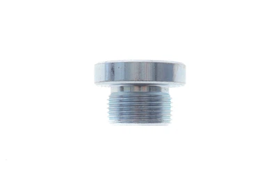 Болт зливу оливи АКПП VW Touareg 02-10 (M24x1,5x14) FA1 257871001