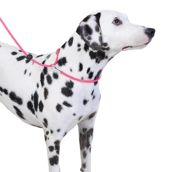 Тренувальний повідець Maobawan Dog P-Rope Anti-Burst для собак, мотузка для грудної шлейки для малих, середніх і великих собак P Chain Y19 чорного кольору