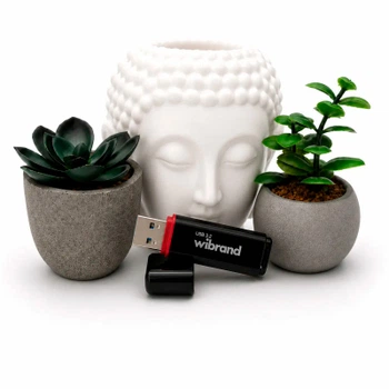 USB флеш накопитель Wibrand 128GB Scarab Black USB 3.2 (WI3.2/SC128P11B)