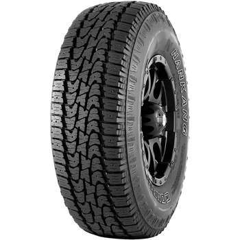 Автошина Nankang Conqueror A/T AT-5 265/70 R18 121/118Q OWL (під шип)