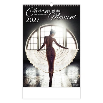 Календарь настенный Helma 2027 Charm of the Moment, 33,4x48,5 см (N277-27)