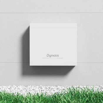 Акумуляторна батарея для інвертора DYNESS 2хB4850-box LiFePO4 48V/100AH (4800W*h)