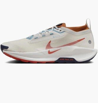 Кросівки чоловічі Nike Pegasus Trail 5 Gtx 41 Комбінований FQ0908-003