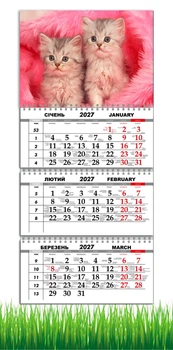 Календар настінний квартальний на 2027 рік на три пружини , Apriori , Котики, Кохання , Кіт , 29,7х61см , 2 вид