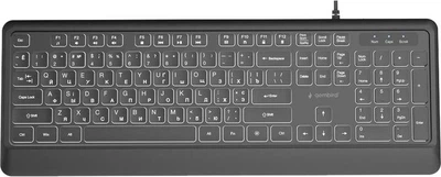 Клавіатура дротова Gembird KB-UML-04-CYRL USB з LED підсвіткою Black