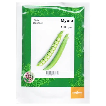Семена гороха Муцио 100 г Syngenta, Голландия
