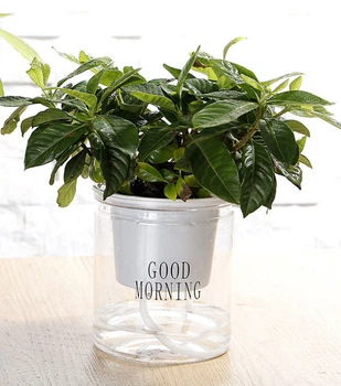 Кашпо OLens Good morning DL21022594 10х11.5 см 4220012