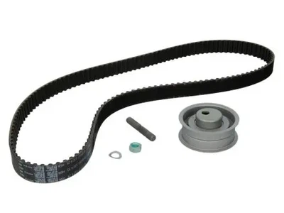 Комплект ременя ГРМ SKF (VKMA01011)