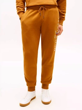 Спортивные штаны утепленные мужские Tommy Hilfiger 375292266 XL Коричневые (1162206951)