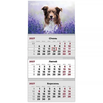 Календарь настенный квартальный 3 спирали 29,7*63 Dogs (8803-27-10-A)