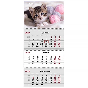 Календарь настенный квартальный 2027 г.,3 пружины Cats 1 8803-27-7 AXENT