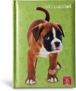 Папка на 3 клапана PIGNA Dolci Cuccioli зеленая с собакой, с резинкой, 1,2 см