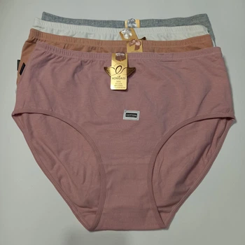 Трусы женские слипы 2XL Аonidaisi однотонные 01301B - 4 шт