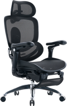 Крісло офісне ергономічне Sihoo DORO C300 PRO V2 з підніжкою Чорне (4820216980158)