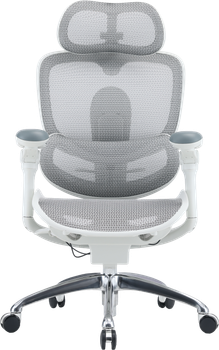 Крісло офісне ергономічне Sihoo DORO C300 PRO V2 White (4820216980165)
